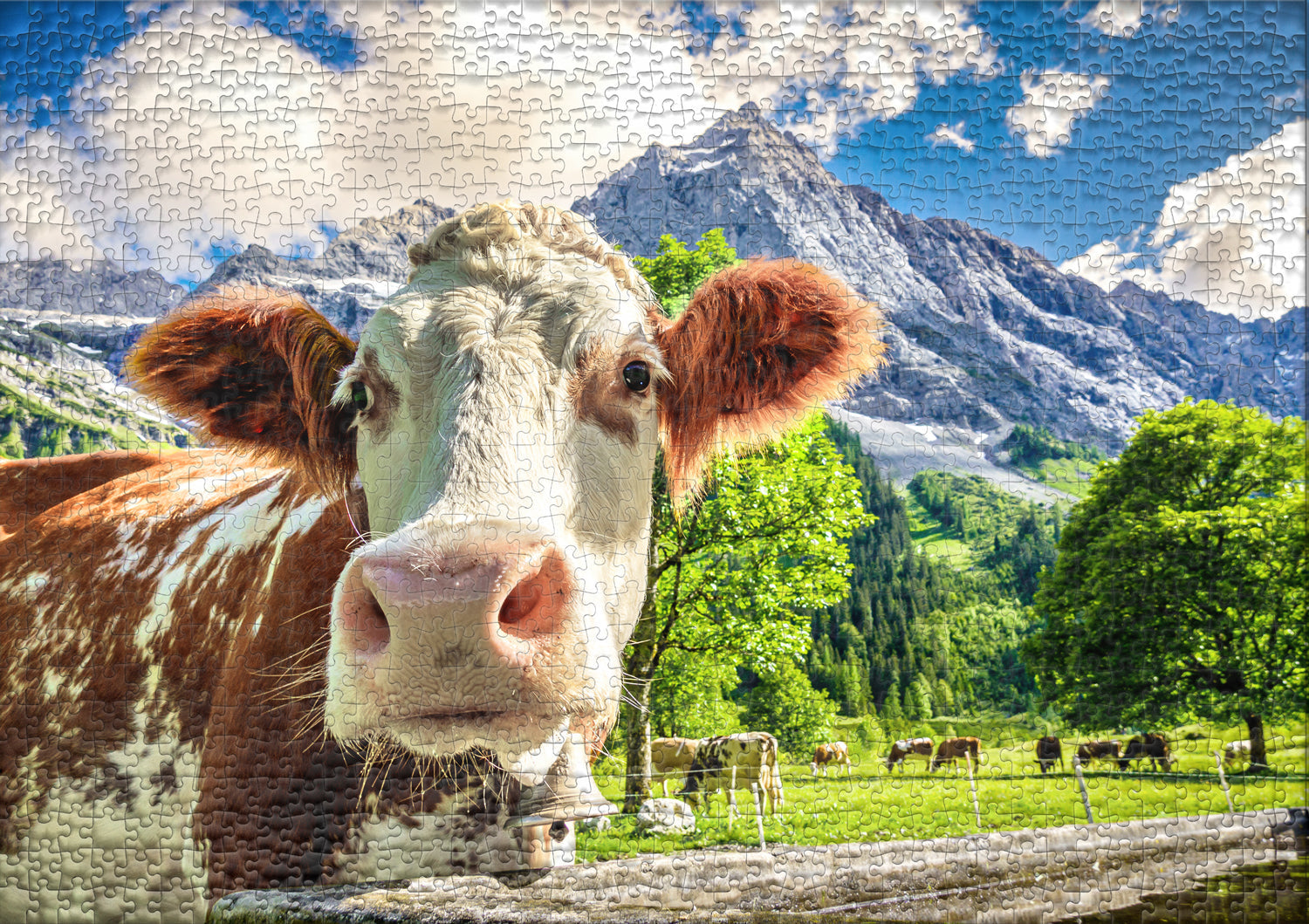 ulmer-puzzleschmiede-puzzle-2000-teile-traum-kuh-lisse-zebra image 2