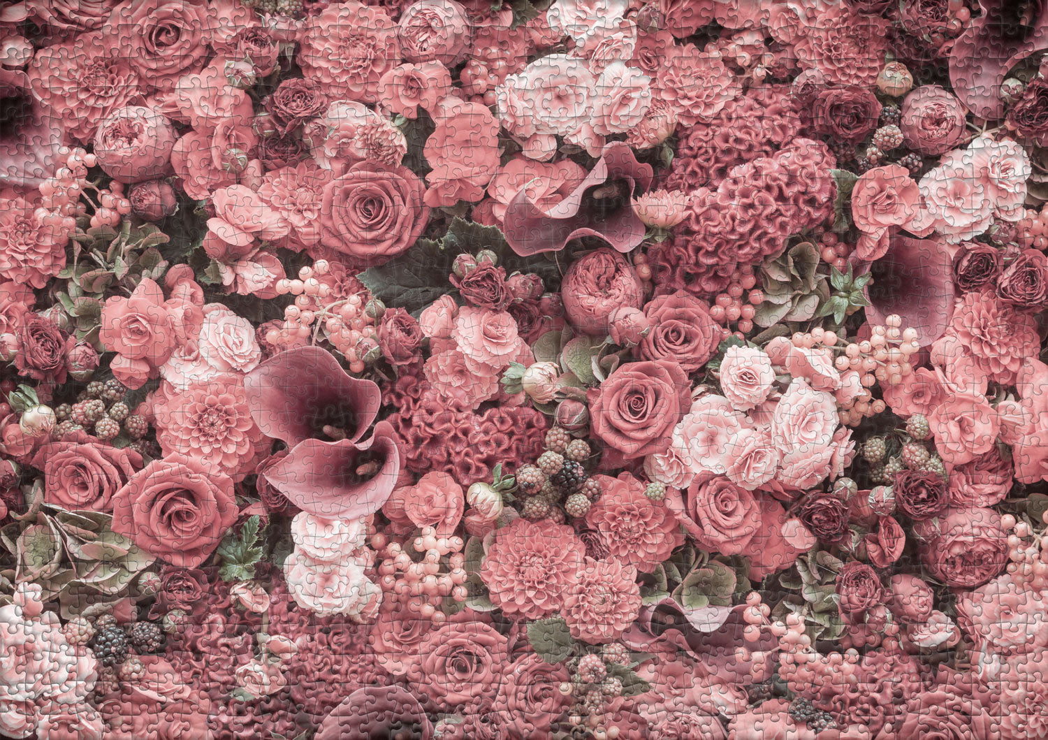 ulmer-puzzleschmiede-rouge-1000-teile-puzzle-rote-rosen-2 image 2