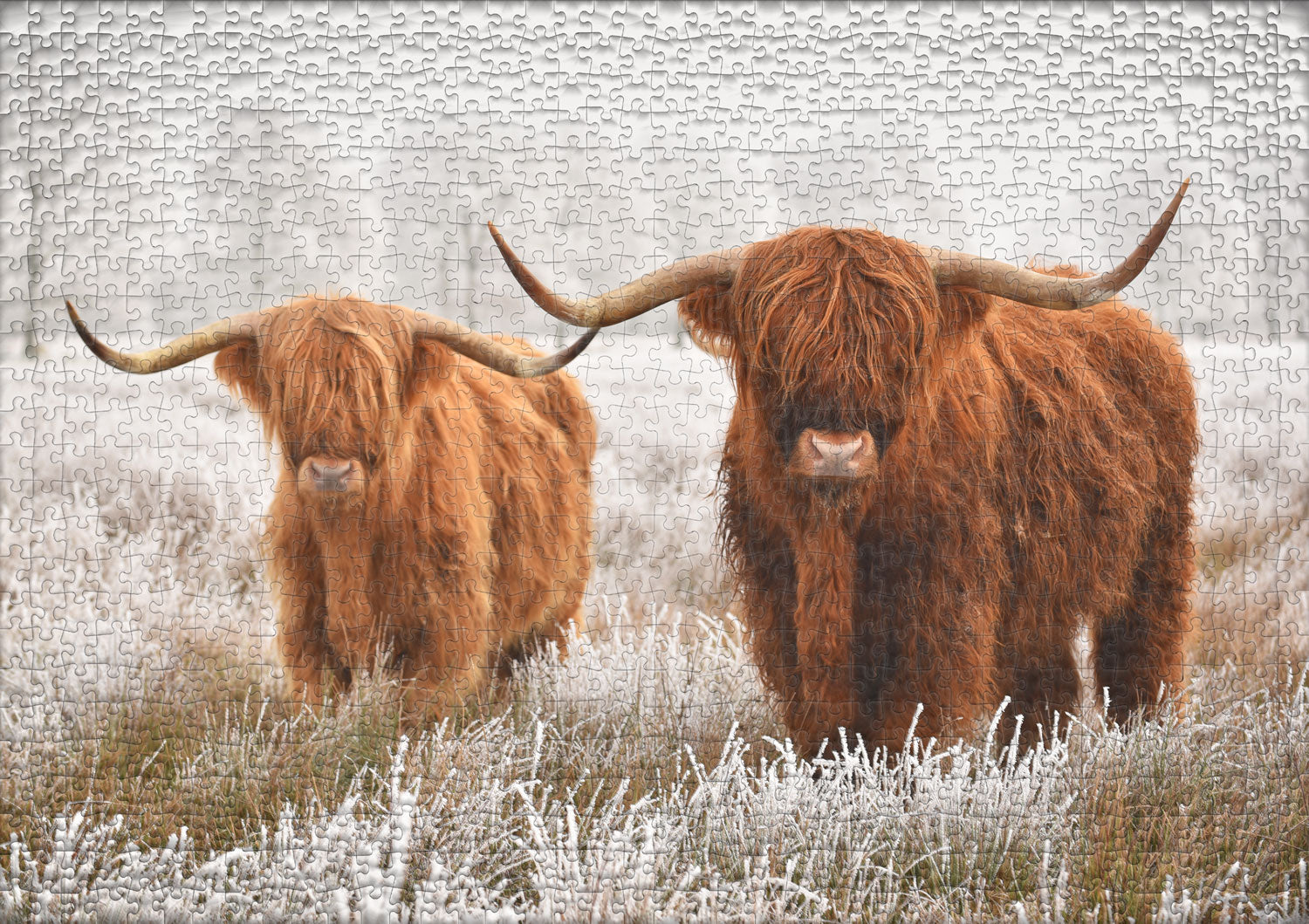 ulmer-puzzleschmiede-puzzle-1000-teile-winterfreunde-hochlandrind image 2