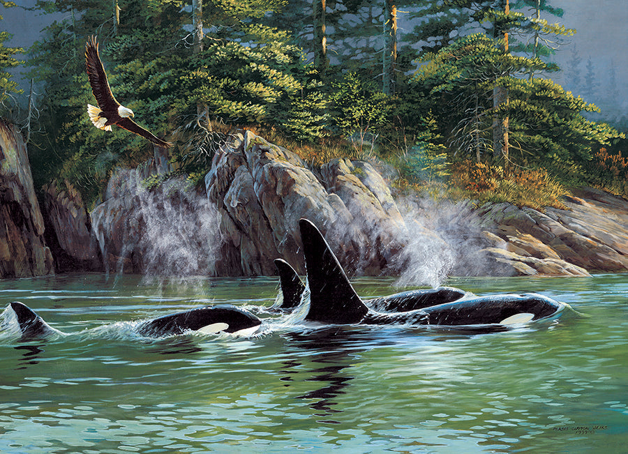 cobble-hill-1000-orcas-puzzle-1000-teile-wale image 2