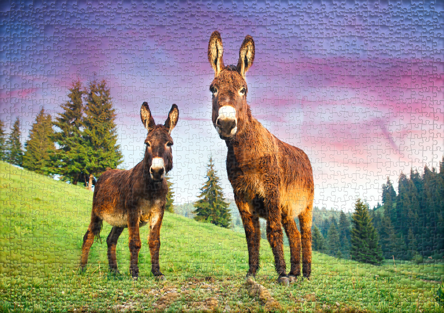 ulmer-puzzleschmiede-alm-esel-puzzle-1000-teile-esel-alpen image 2