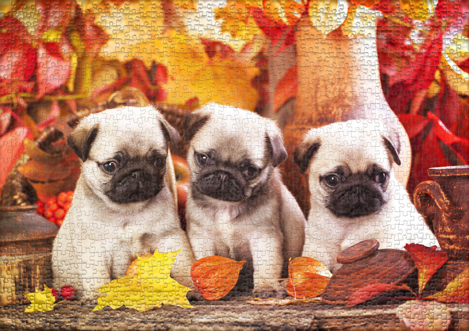 ulmer-puzzleschmiede-puzzle-1000-teile-welpen-gl-ck-mops-puzzle image 2