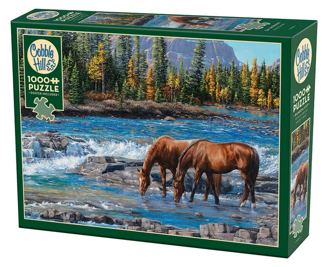cobble-hill-1000-piece-on-the-rocks-puzzle-1000-teile-herbst image 1