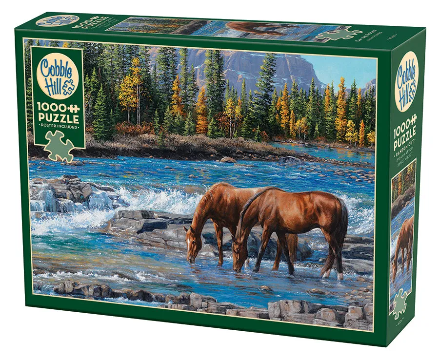 cobble-hill-1000-piece-on-the-rocks-puzzle-1000-teile-herbst image 1