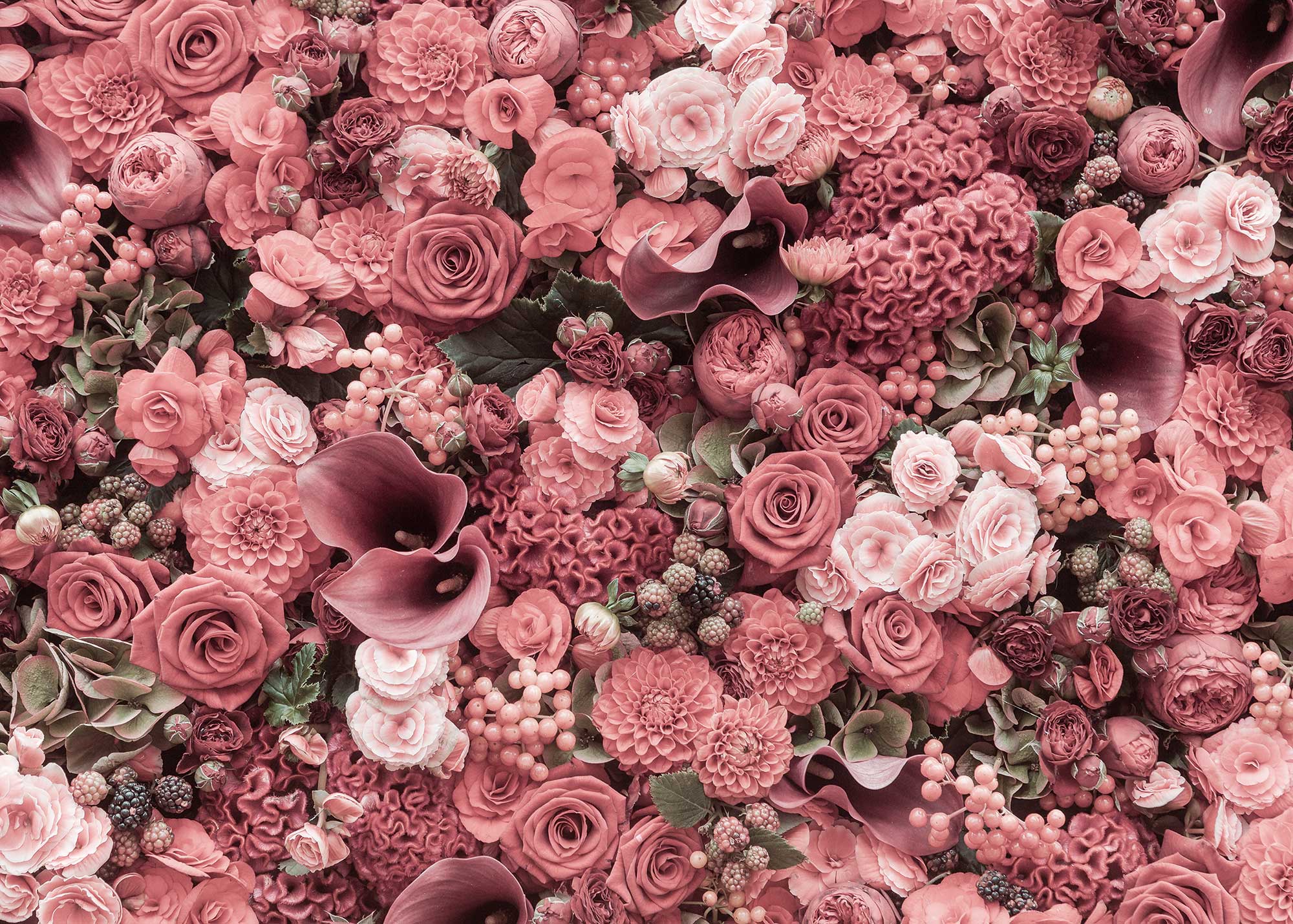 ulmer-puzzleschmiede-rouge-puzzle-2000-teile-rote-rosen image 1