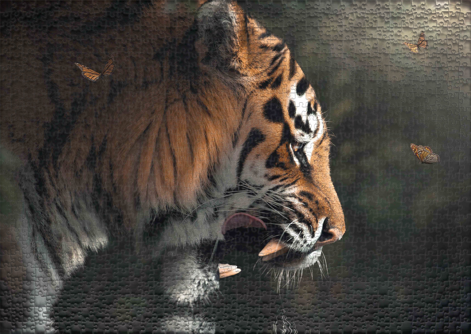 ulmer-puzzleschmiede-auge-in-auge-puzzle-1000-teile-tiger image 2