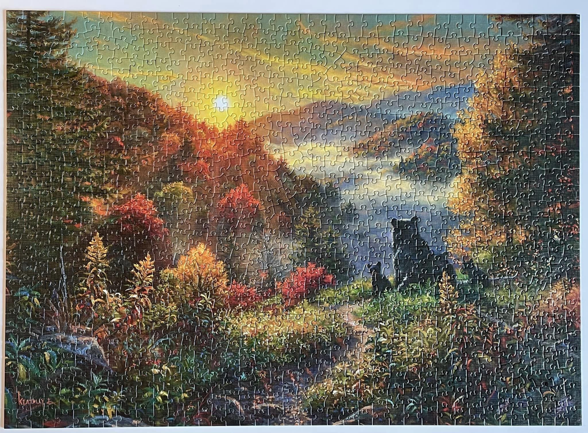 cobble-hill-1000-teile-puzzle-new-day-b-ren-berge image 5