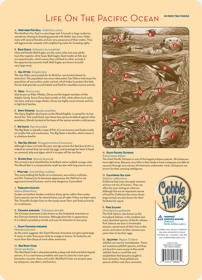 cobble-hill-pacific-ocean-35-teile-rahmenpuzzle-ozean image 3