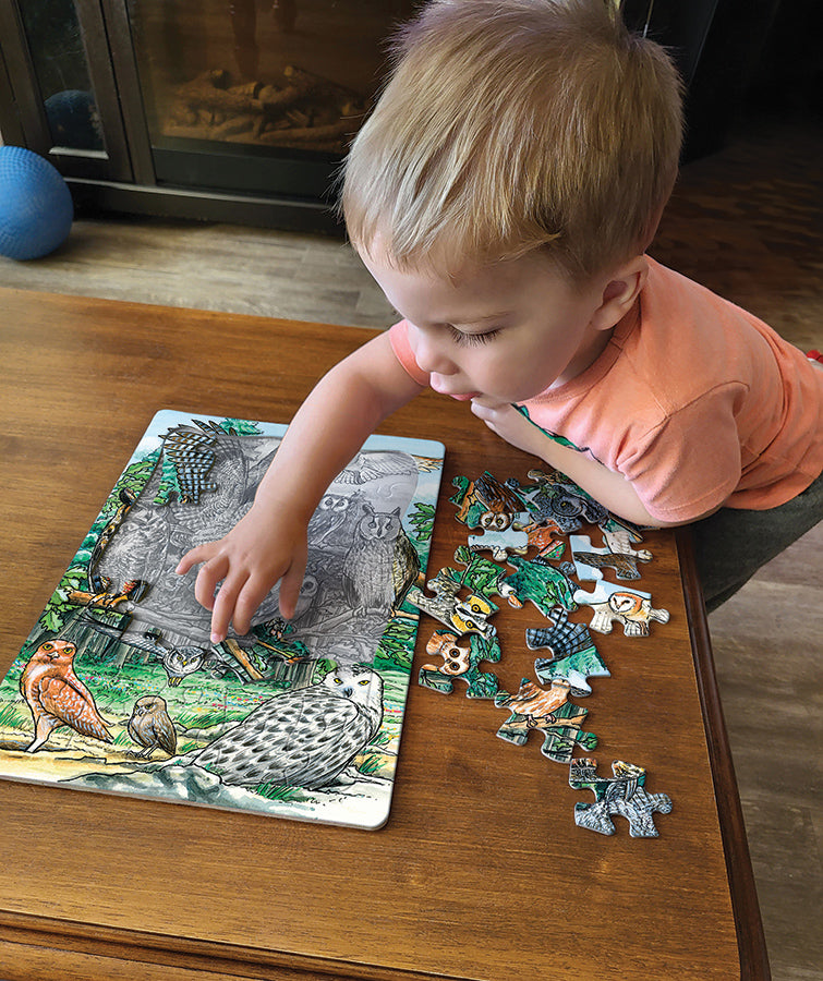 cobble-hill-tray-north-american-owls-rahmenpuzzle-35-teile-eulen image 2