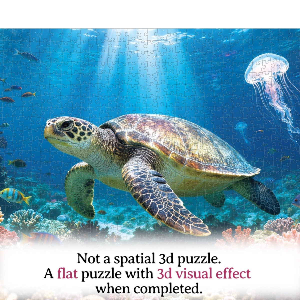 kaayee-cardboard-sea-turtle-of-light-puzzle-1000-teile-meer image 5