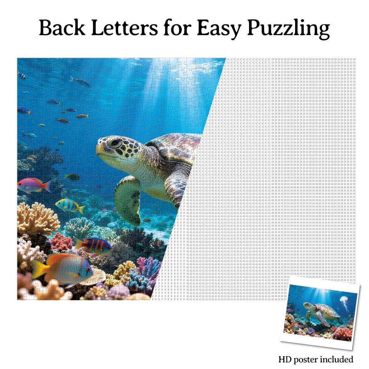 kaayee-cardboard-sea-turtle-of-light-puzzle-1000-teile-meer image 6