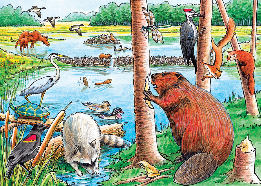 cobble-hill-the-beaver-pond-35-teile-rahmenpuzzle-biber image 4